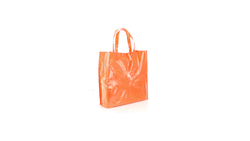 Tas Divia
