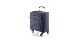 Trolley Zoidel